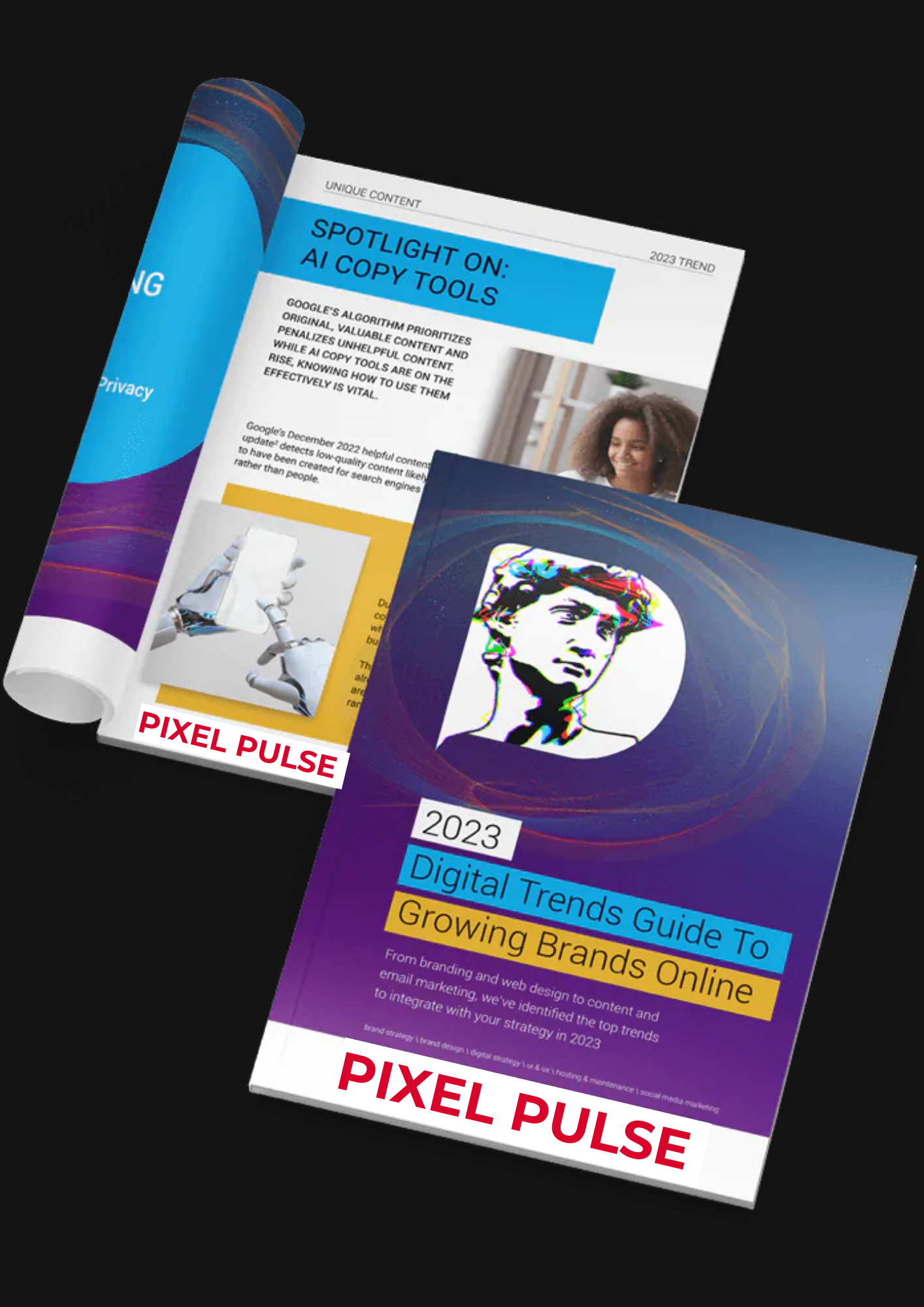 PIXEL PULSE MARKETING GUIDE TO INCREASE ROI